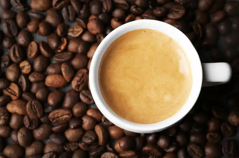 caffeine-primer